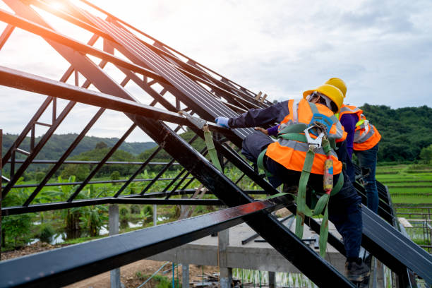 Best Metal Roofing Contractor  in Ashdown, AR